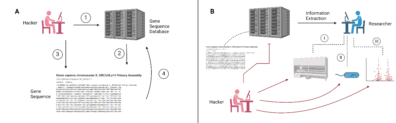 Summarize the possible scenarios in which cyberattacks could affect biological research